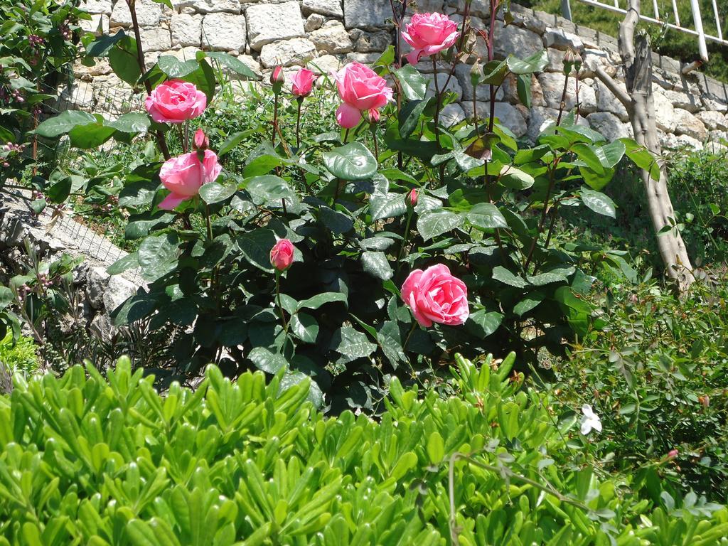 Peric Rooms Dubrovnik Dış mekan fotoğraf